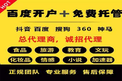 网络推广与竞价优化成功案例